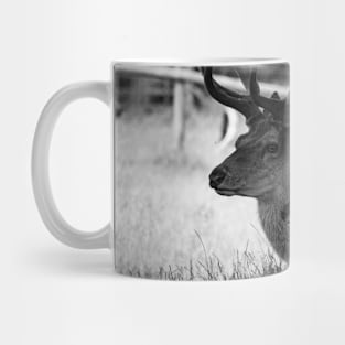 deer 6 Mug